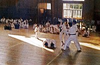 Karate08.jpg