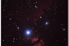 Caballo_Flame-2