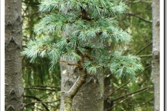 DSC04780_c