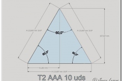 06-T2