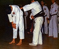 Karate31.jpg